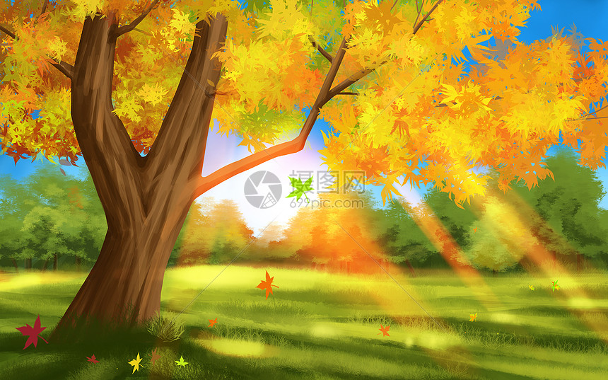 秋分阳光树林插画图片