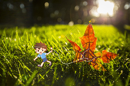 秋天的枫叶创意插画摄影图片
