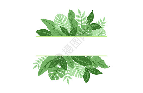 生日h5热带叶子植物插画