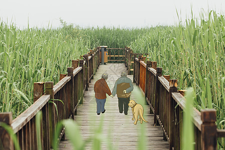木桥上老人散步图片