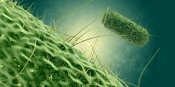 细菌细胞场景背景图片