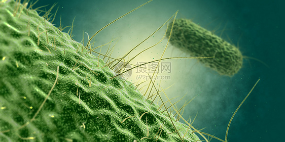 细菌细胞场景图片