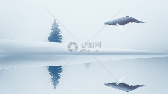 梦幻雪景图片