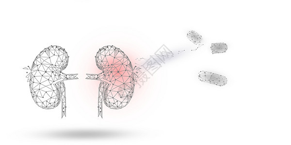 肾脏疾病治疗图片