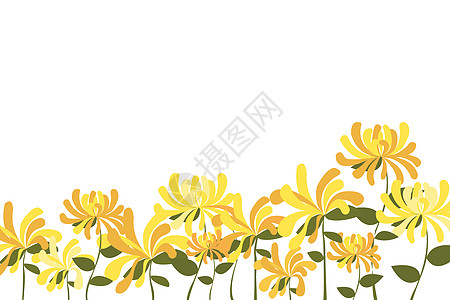 菊花背景重阳节矢量高清图片