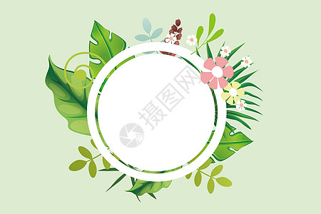 植物花卉背景图片