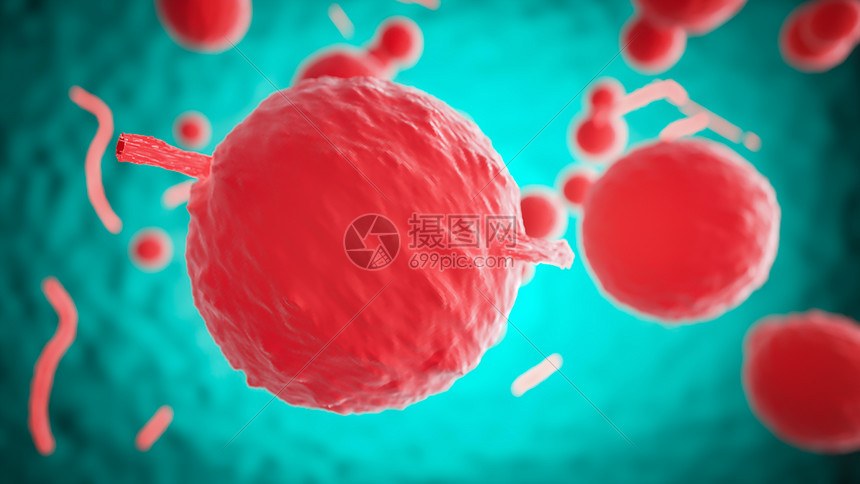 细菌病毒细胞图片