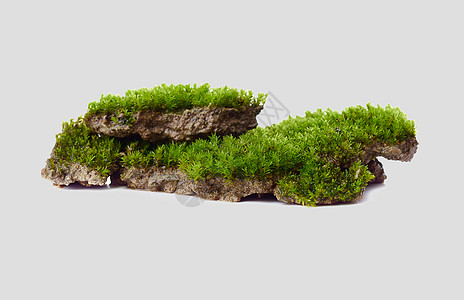 石头草地石头模型高清图片