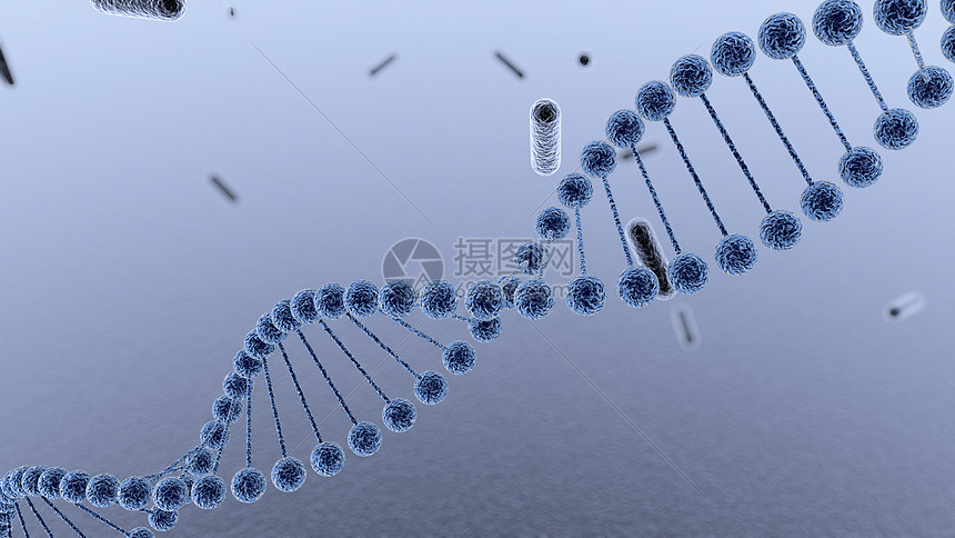 DNA基因链条图片