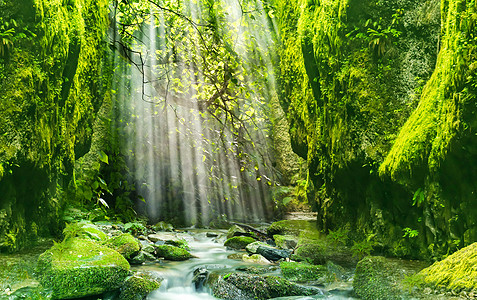 溪流梦幻森林设计图片