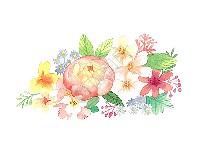 淘宝海报水彩花卉边框插画