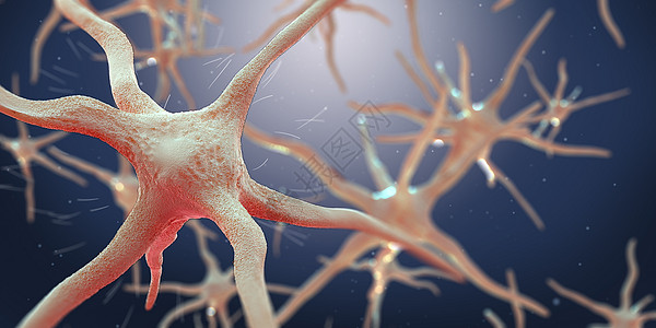 神经细胞场景高清图片