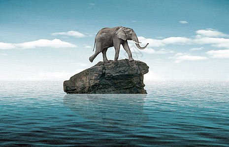 超现实大象背景图片