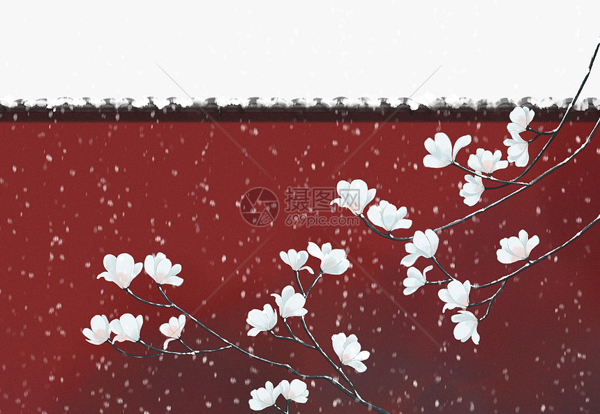 宫墙玉兰花图片素材_免费下载_psd图片格式_