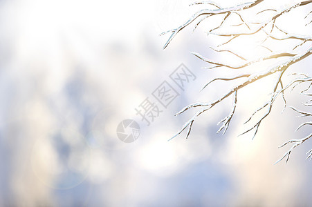 雪美景冬季场景设计图片