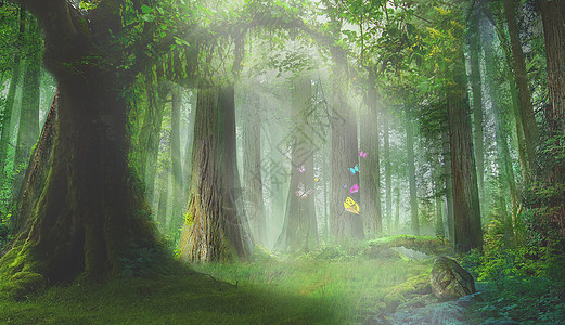 丛林溪水梦幻森林设计图片