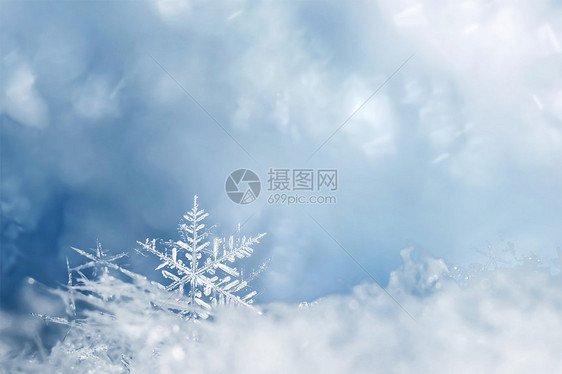 唯美雪花图片