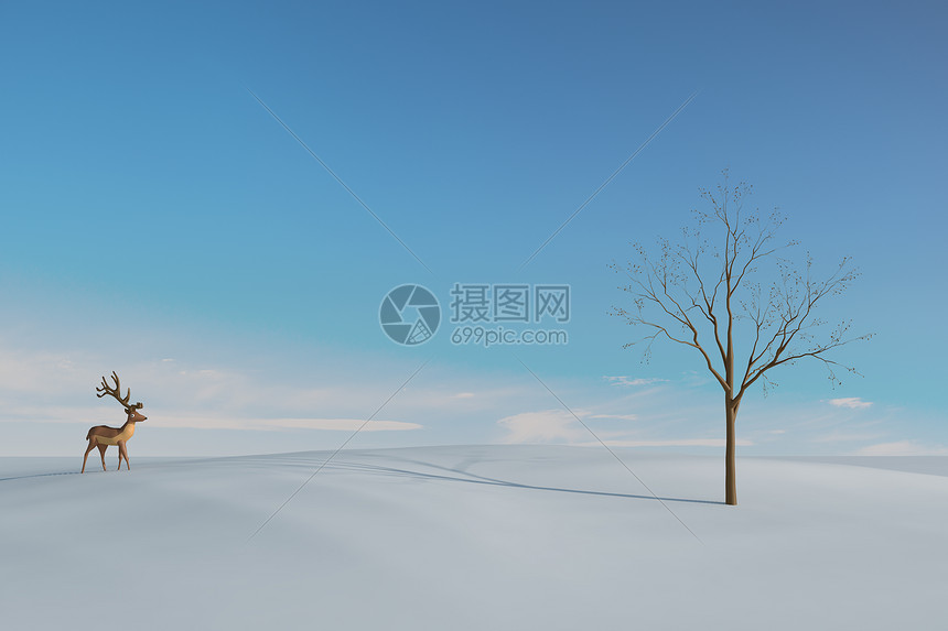 雪地里的梅花鹿图片