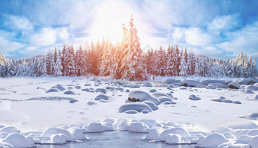 冬季雪景冬季阳光高清图片