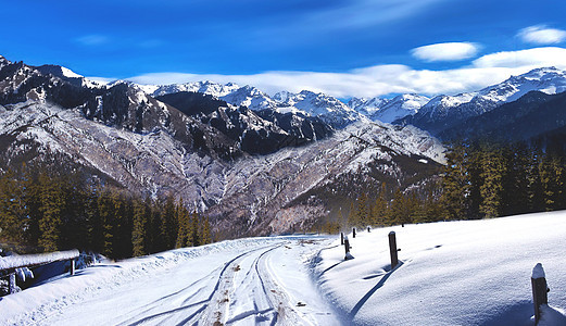 冬季雪景图片