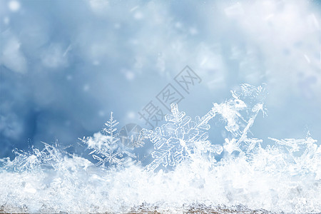 雪花唯美冬季高清图片