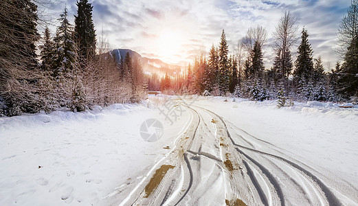 冬季雪景图片