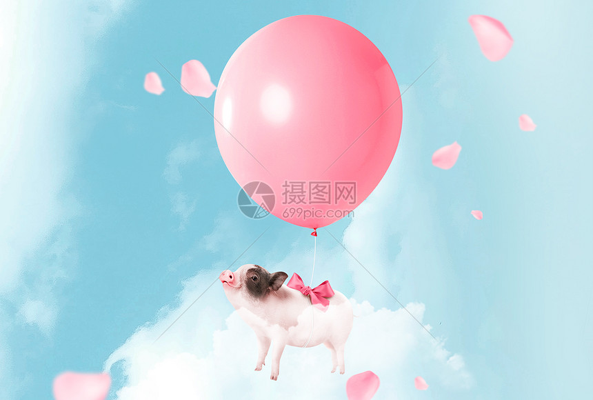 气球和猪图片