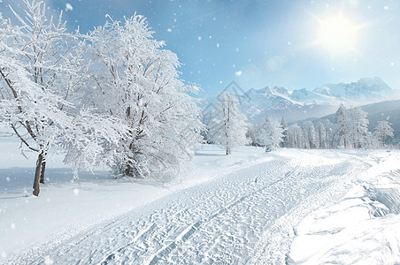 雪景花冬天雪景设计图片