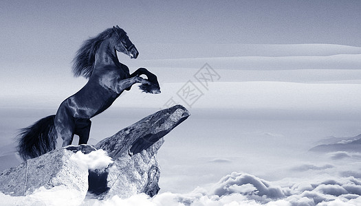 白色的马企业文化设计图片
