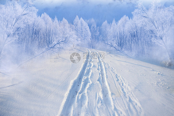 冬天雪路图片