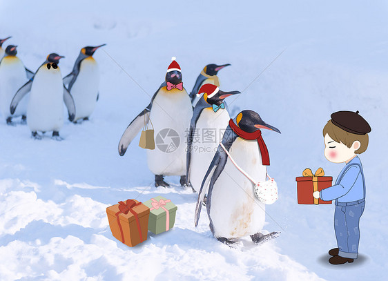 企鹅冬天图片