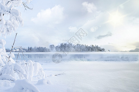 冬至风景冬天雪景设计图片