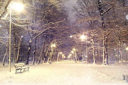 冬天雪景雪景冬夜高清图片