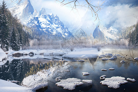 雪路树冬天的风景设计图片