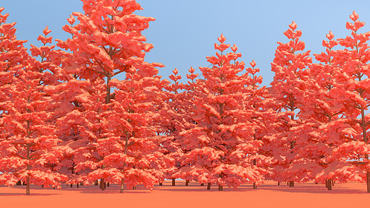 珊瑚橙树林背景图片