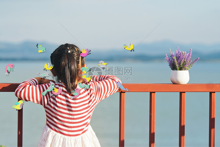 小女孩和小鸟看海图片
