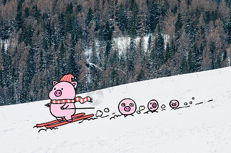 创意滑雪小猪图片