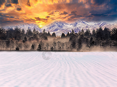 夕阳下的雪景图片