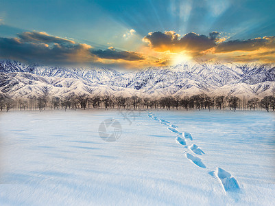 夕阳下的雪景图片