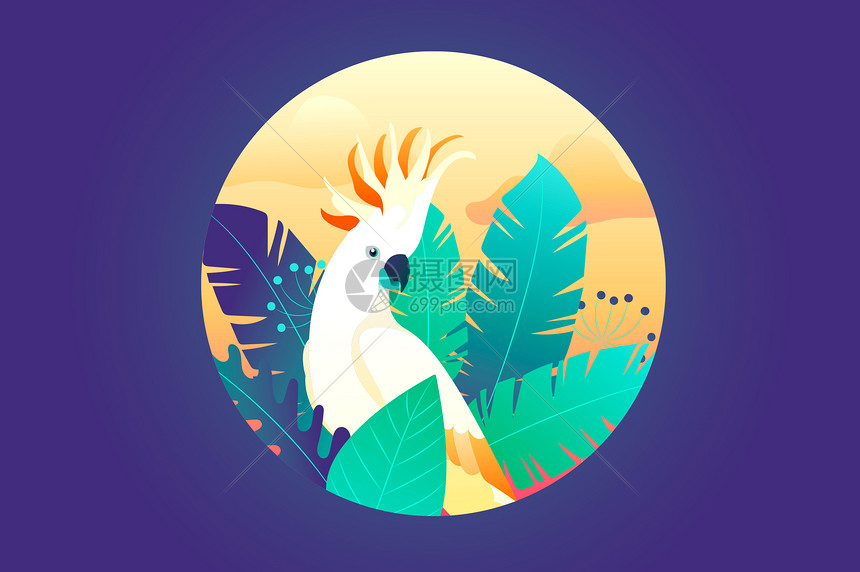 彩色鸟类渐变画图片素材_免费下载_eps图片格式_VRF高清图片400960120