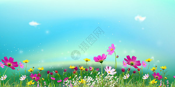 春天的花丛背景图片