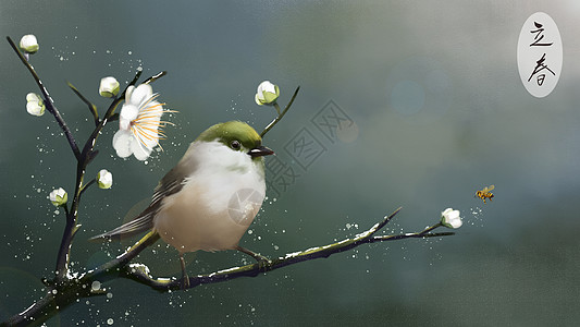 立春小鸟山雀高清图片