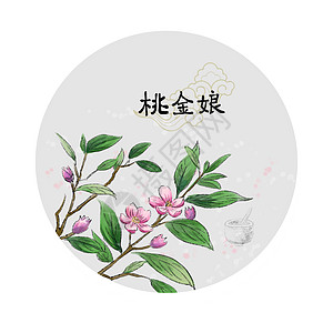 中草药插画图片