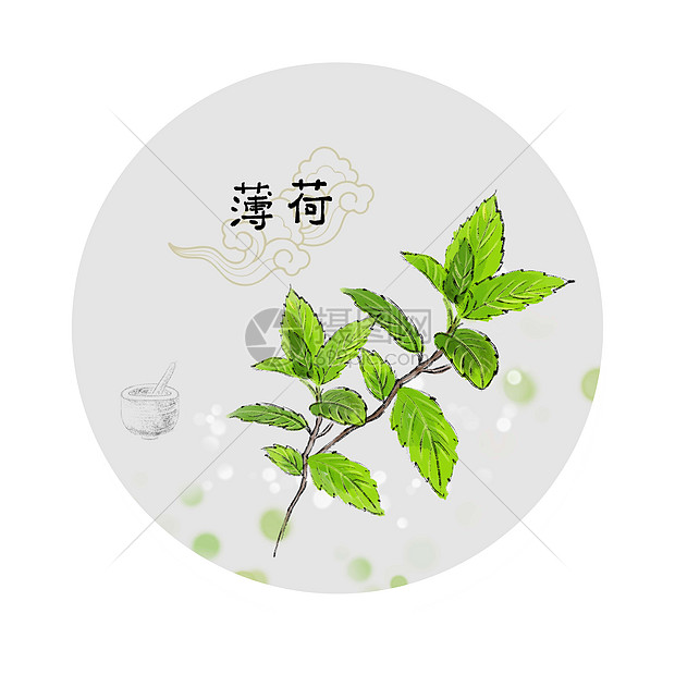 中草药插画图片