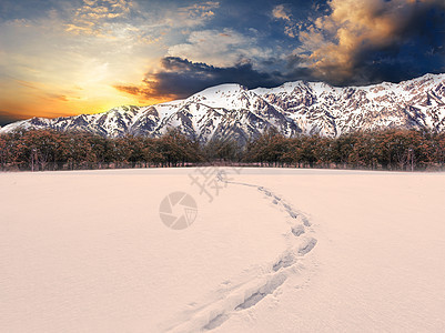 夕阳下的雪景图片