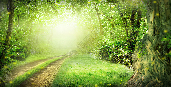 小区美景春天的梦幻森林设计图片