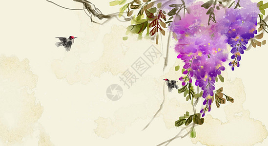 国画水墨写意紫藤花卉背景图片