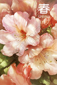 春暖花开季露水配图高清图片
