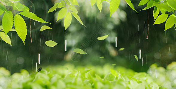 春天风景谷雨大自然高清图片