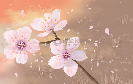 小清新手绘春天樱花图片